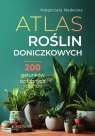 Atlas roślin doniczkowych. 200 gatunków ozdobnych Mederska Małgorzata
