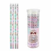 Ołówek z gumką HB Koala (48szt)