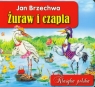 Żuraw i czapla Jan Brzechwa