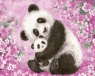 Malowanie po numerach Czułość mamy Panda