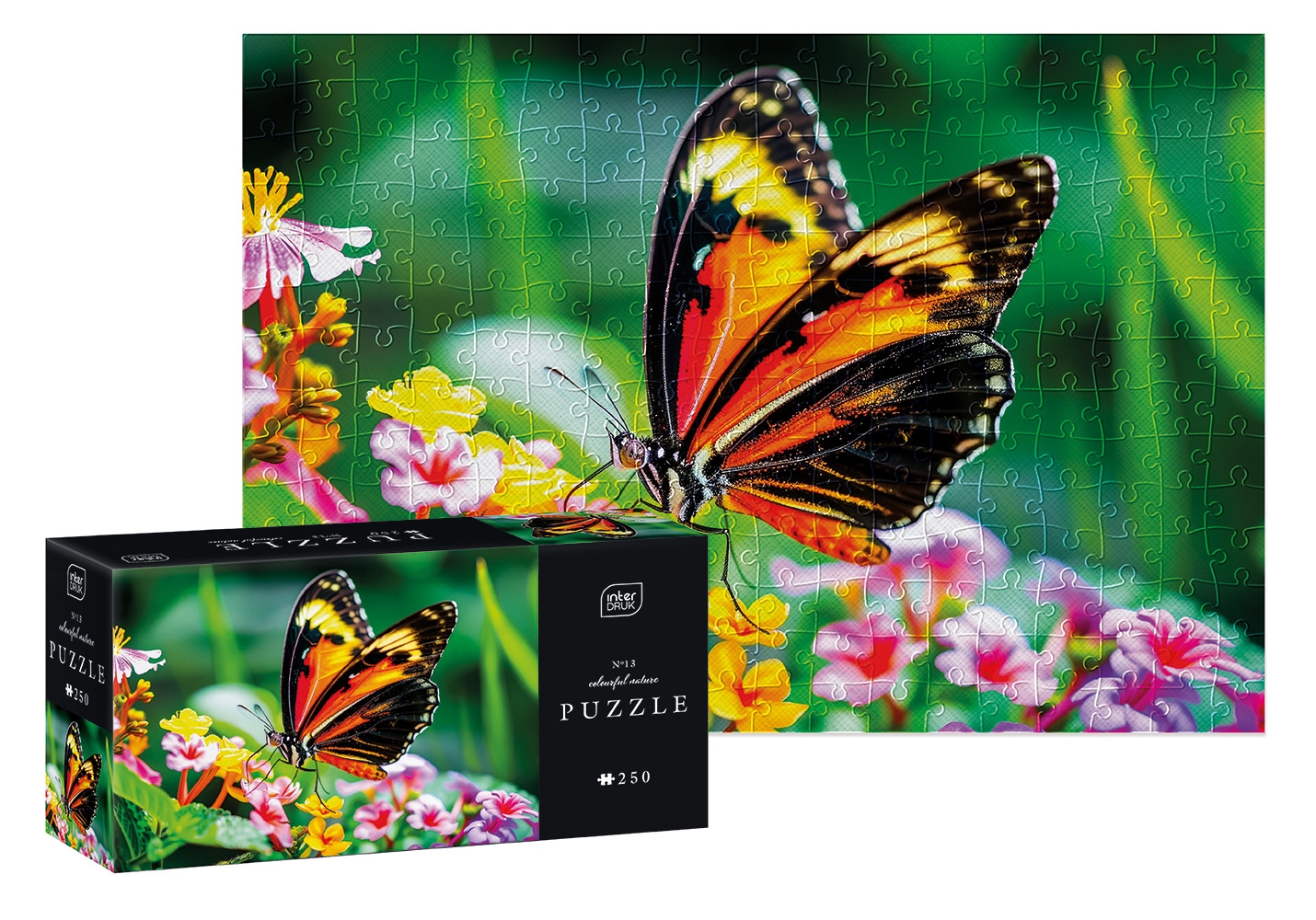 Puzzle 250: Colourful Nature 13 - Postman Butterfly
