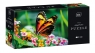 Puzzle 250: Colourful Nature 13 - Postman Butterfly