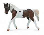 Koń rasy Bashkir Curly XL (88780)