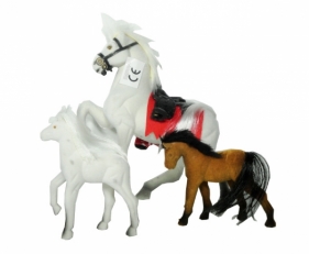 Koniki w worku