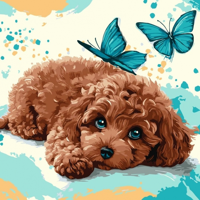 <img src='https://webimage.pl/pics/808/1/d4823104381808.jpg'>