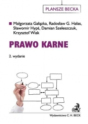 Prawo karne