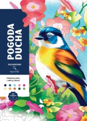 Art therapy. Kolorowanka antystresowa. Pogoda ducha. Zagadkowe rysunki