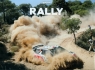 Rally