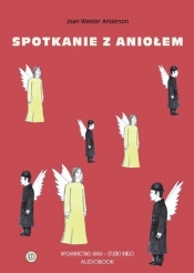 Spotkanie z aniołem audiobook - Joan Wester Anderson