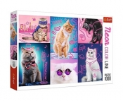 Puzzle 1000 Neon Color Line: Super koty (10581) (Uszkodzone opakowanie)