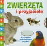 Zwierzęta i przyjaciele Kto znajdzie moje koleżanki papużki? Apsley Brenda