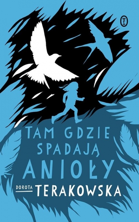 Tam, gdzie spadają Anioły (Terakowska Dorota) | Czytam.pl