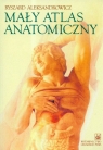 Mały atlas anatomiczny  Aleksandrowicz Ryszard