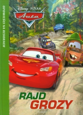 Auta Rajd grozy