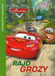 Auta Rajd grozy
