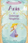 Ania z Zielonego Wzgórza (wydanie pocketowe) Lucy Maud Montgomery, Ana Garcia (ilustr.)