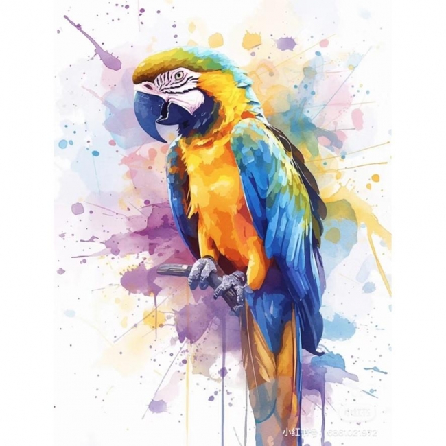 <img src='https://webimage.pl/pics/812/9/d5902927319812.jpg' style='height:440px' /> Malowanie po numerach 40x50cm Papuga