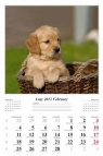 Kalendarz 2013 Psy