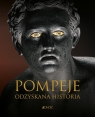 Pompeje Odzyskana historia Coarelli Filippo, Albentiis Emidio, Guidobaldi Maria Paola, Pesando Fabrizio, Verone Antonio