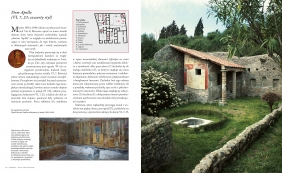 Pompeje. Odzyskana historia - Maria Paola Guidobaldi, Antonio Verone, Fabrizio Pesando, Filippo Coarelli, Emidio De Albentiis