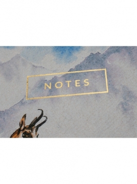 Notes Góry