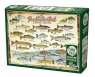 Puzzle 1000 Ryby słodkowodne Ameryki Północnej 113137 12+