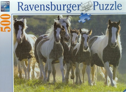 Puzzle 500 Dzikie konie
	 (141814)