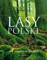 Lasy Polski