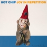 Joy In Repetition (2 Vinyl)