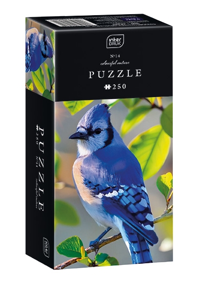 Puzzle 250: Colourful Nature 14 - Blue Jay