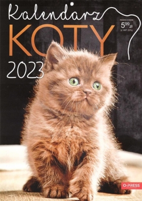 Kalendarz Ścienny 2023 A4 - Koty