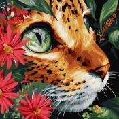 Malowanie po numerach - Bezdenne oczy 40x40cm