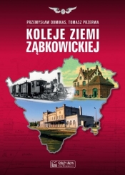 Koleje Ziemi Ząbkowickiej - Dominas Przemysław, Przerwa Tomasz