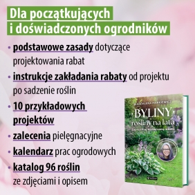 Byliny: rośliny na lata. Zaprojektuj wymarzoną rabatę - Magdalena Markiewicz