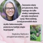 Byliny: rośliny na lata. Zaprojektuj wymarzoną rabatę - Magdalena Markiewicz