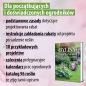 Byliny: rośliny na lata. Zaprojektuj wymarzoną rabatę - Magdalena Markiewicz