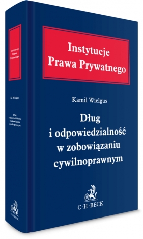 Dług i odpowiedzialność w zobowiązaniu cywilnoprawnym - Kamil Wielgus
