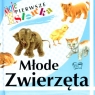 Młode zwierzęta Moje pierwsze słówka