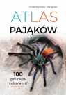 Atlas pająków Malgrab Przemysław