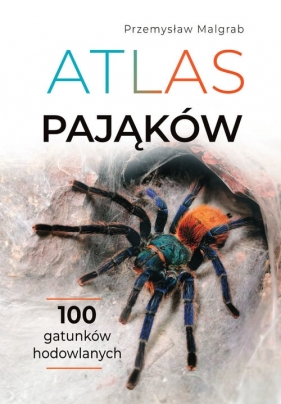 Atlas pająków - Malgrab Przemysław
