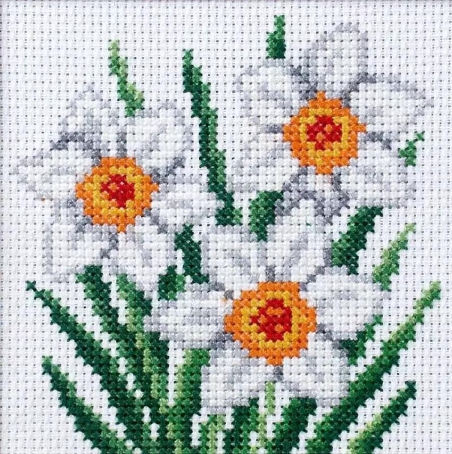 Haft krzyżykowy - Narcyzy