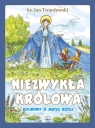 Niezwykła Królowa Rozmowy o Matce Bożej Jan Twardowski