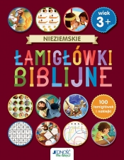 Nieziemskie łamigłówki biblijne 3+ - Andrew Newton