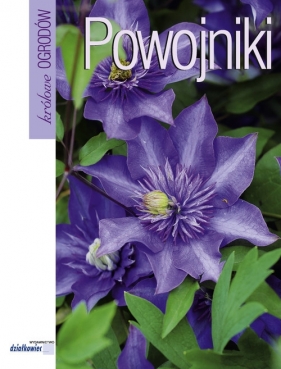 Powojniki - Chojnowska Ewa