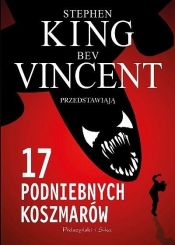 17 podniebnych koszmarów DL - Stephen King, Bev Vincent