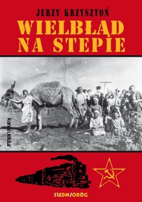 Wielbłąd na stepie - Krzysztoń Jerzy