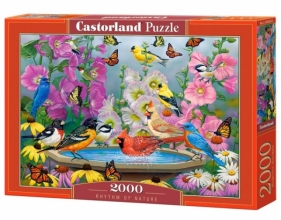 Puzzle 2000 elementów Ptaki Rytm natury (200818)
