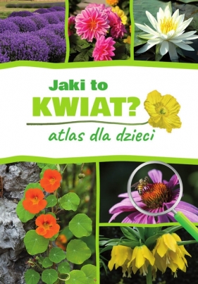 Jaki to kwiat? Atlas dla dzieci - Gawłowska Agnieszka, Mederska Małgorzata