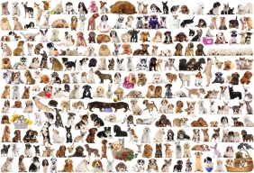 Puzzle 2000: Świat psów (8220-0581)