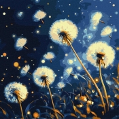 Malowanie po numerach - Fruwające mlecze 40x40cm